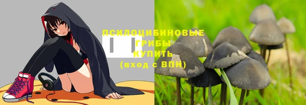 spice Абаза