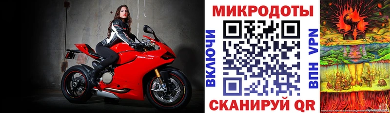 Псилоцибиновые грибы Psilocybe  Кудымкар 